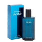 다비도프 쿨워터 맨 125ml : 온더블루문