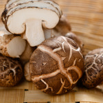 씹는 맛이 일품 성화농장 생표고버섯 1kg/2kg(특) : 익산시 마을전자상거래지원단