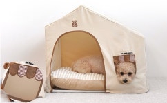 패리스독 뉴 프레임하우스 (베이지/그레이) : 시츄미아