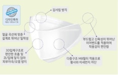 스카이마스크100매 : 이브상사