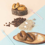 강릉커피빵 특산물 안목 초당 커피빵 반죽 맛집 콩빵 만들기 : 쇼핑앳홈
