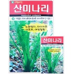 텃밭 농사 채소 종자 산미나리 씨앗 400립 : 농사농