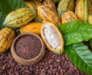 [유통기한이슈] 파머스 임산부 마사지 프레그넌시 크림 156g 3개 : 파머스코리아쇼핑