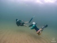 리버티 프리다이빙 유소년 키즈 돌핀코스 교육 강습 : 리버티프리다이빙