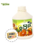 850ml 1box 12개입 자몽원액 자몽베이스 자몽농축 일원 : Neverland