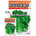 쌈채소 아삭 상추 종자 아삭이 생채 씨앗 3000립 : 농사농