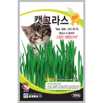 캣그라스씨앗 500립 새싹키우기 재배 샐러드 채소 새싹씨 종자 농사마트 : 농사마트