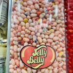 젤리벨리 Tutti Fruitti 맛 젤리빈 10개입 : 월드구매