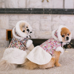 보리의하루 플라워 누빔 생활한복 & 귀돌이 강아지 고양이 한복(2 color) : 보리의하루