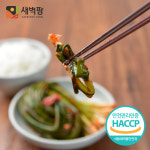 새벽팜 파김치 1kg 국산 전라도김치 참매실 : 새벽팜