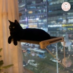 고양이 창문 해먹 윈도우 원목 천 침대 DIY : 해리스힐