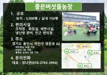 (경기도 용인)#78월쌈바# 쌈채소바베큐 감자 물놀이 체험농장 주말농장 초등학생 어린이 체험학습 : 좋은버섯들