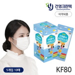 KF80 건영 황사사각마스크 대형 50개 (5PX10매) : 건영 미세먼지마스크