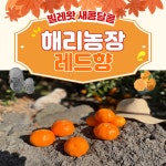 빌레왓 서귀포 레드향 노지 하우스 5kg : 자연인 해리농장