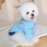 [펫 후크] 강아지 애견 곰돌이 겨울방한솜패딩 3컬러 커플룩 : 펫 후크