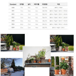 베하몰 독일 표준형 토분 클래식 20x17cm, 황토색 : 베스트 하우스