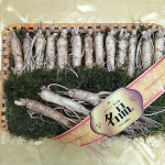 인삼 수삼 금산인삼 도매시장 세척 원수삼 소 한채 : 금산인삼도매시장