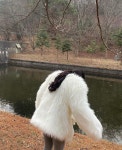 [ 인더블레스 ] 샤기 밍크 폭스 페이크퍼 : 인더블레스