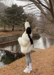 [ 인더블레스 ] 샤기 밍크 폭스 페이크퍼 : 인더블레스