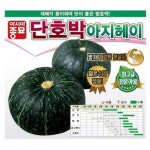 아지헤이 단호박 2000립 / 단호박씨 씨앗 종자 아시아종묘 영미의정원 : 영미의정원