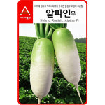 A-알파인무 6g / 무씨 무씨앗 무종자 : 영미의정원