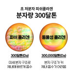 세라마이드 콜라겐 글루타치온 4개월 600mg 120정 : 리버리