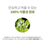 강한 위장 그린세라F 위점막보호 금은화 보호 케어 편한 위 건강 건강기능식품 : 트랜드단