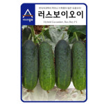A-러스보이오이 500립 / 오이씨 오이씨앗 오이종자 : 영미의정원