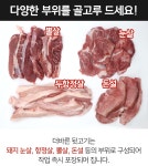김해뒷고기 모듬 뒷고기 돈설 꼬들목살 뽈살 눈살 두항정 두항정살 1kg : 라이프 by 힐링스타일