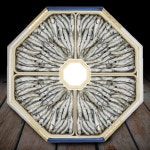 죽방렴멸치 남해 죽방 굵은 팔각지함 1kg 선물세트 : supama