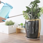 화초영양제 관엽식물영양제 식물살충제 300ml : 망내상회