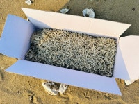 명품 최상급 남해안 삼천포 햇 죽방멸치 세멸치 750g 밥반찬 선물용 : 통영동백수산