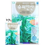 펠렛 코팅 종자 슈퍼 안산 참깨 3000립 : 농사농