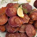 [바다담음] 통영 홍가리비 2kg(1kg-25~33미 내외) : 오초록