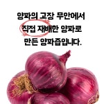 무안 빨간양파즙 / 자색양파즙 110ml x 50개입 : 무안장안황토양파즙