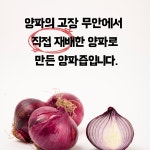 무안 빨간양파즙 110ml x 150개입 : 무안장안황토양파즙