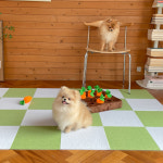 라리리 강아지미끄럼방지 펫 애견매트 논슬립패드 셀프 타일카페트 : 라리리 마켓