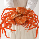 속초 제철 자숙 홍게 : 러브마린 CRAB