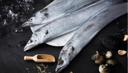 제주 은갈치 프리미엄 4마리 선물세트 명절 설 시댁 고급 답례 : 올라 올라