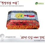 CL 고려 홍삼 진과 500g 명절선물세트 고급간식 꿀 홍삼정과 한지함 : 둥굴맘