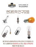 현대트럭 전구모음 엑시언트 트라고 뉴파워텍 메가트럭 라이트전구 안개등전구 미등전구 번데기전구 데루등전구 싱글전구 24V : 주신오토