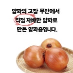 무안 양파즙 110ml x 150개입 : 무안장안황토양파즙