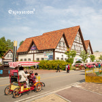 [경기] 당일 안성팜랜드 투어 - 5인(9인승차량) 부터 출발 : Enjoystreet