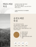 야생화/분재 고급화분 : 트리스플라워