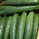 국내산 취청오이 보통 상 1kg 5kg 10kg 못난이 : 밈밈상회