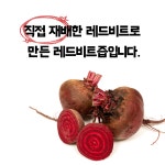 레드비트즙 110ml x 150개입 : 무안장안황토양파즙