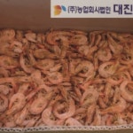 강일건어물 육수용 마른 건새우 1.5kg 국물새우 [식당용 업소용 건어물] : 주식회사 농업회사법인 대진