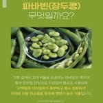 잠두콩 식이섬유 식물성 단백질 파바빈 가루 프로테인 분말 600gx2 : 원트모아