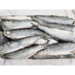 냉동 청어 20kg 도매 업소용 : 세인냉동식품