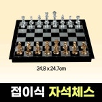 채스 고급 휴대용 자석 미니 체스판 서양장기 체스 수업 청소년 캠핑 중등 중학생 보드게임 : 텐이어스